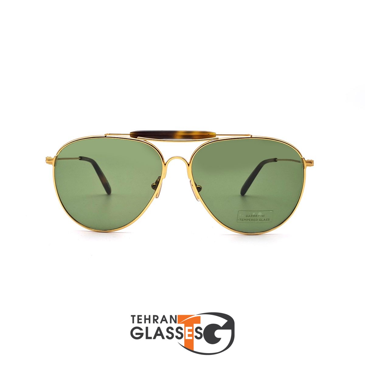 عینک آفتابی تام فورد Raphael-02 TF 995